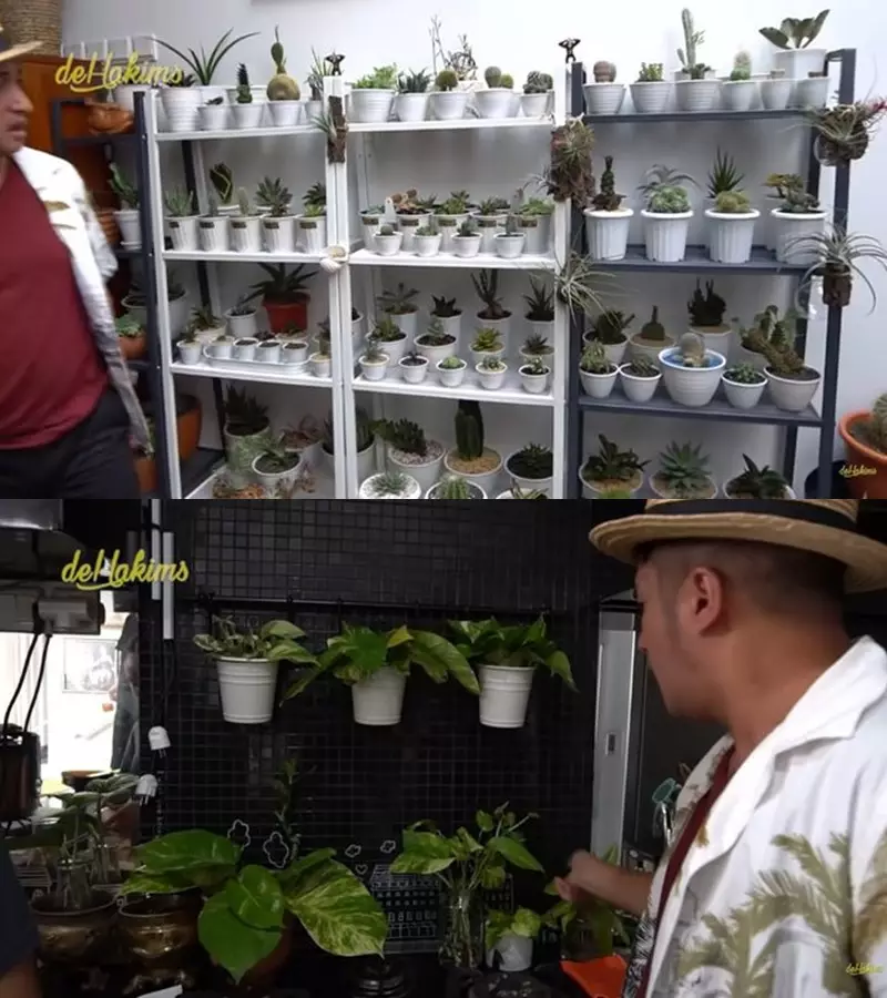 Potret kebun milik seleb © Instagram Potret kebun milik seleb © Instagram