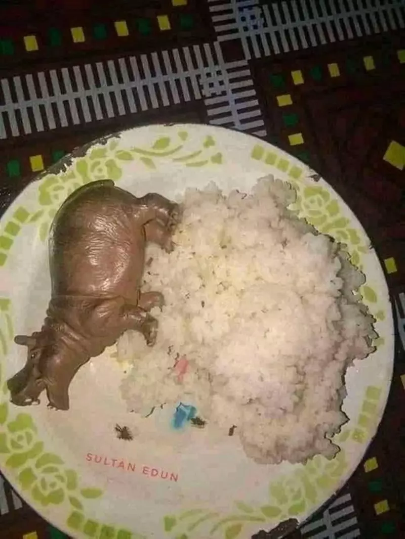  lauk nyeleneh pendamping nasi © 2021 berbagai sumber