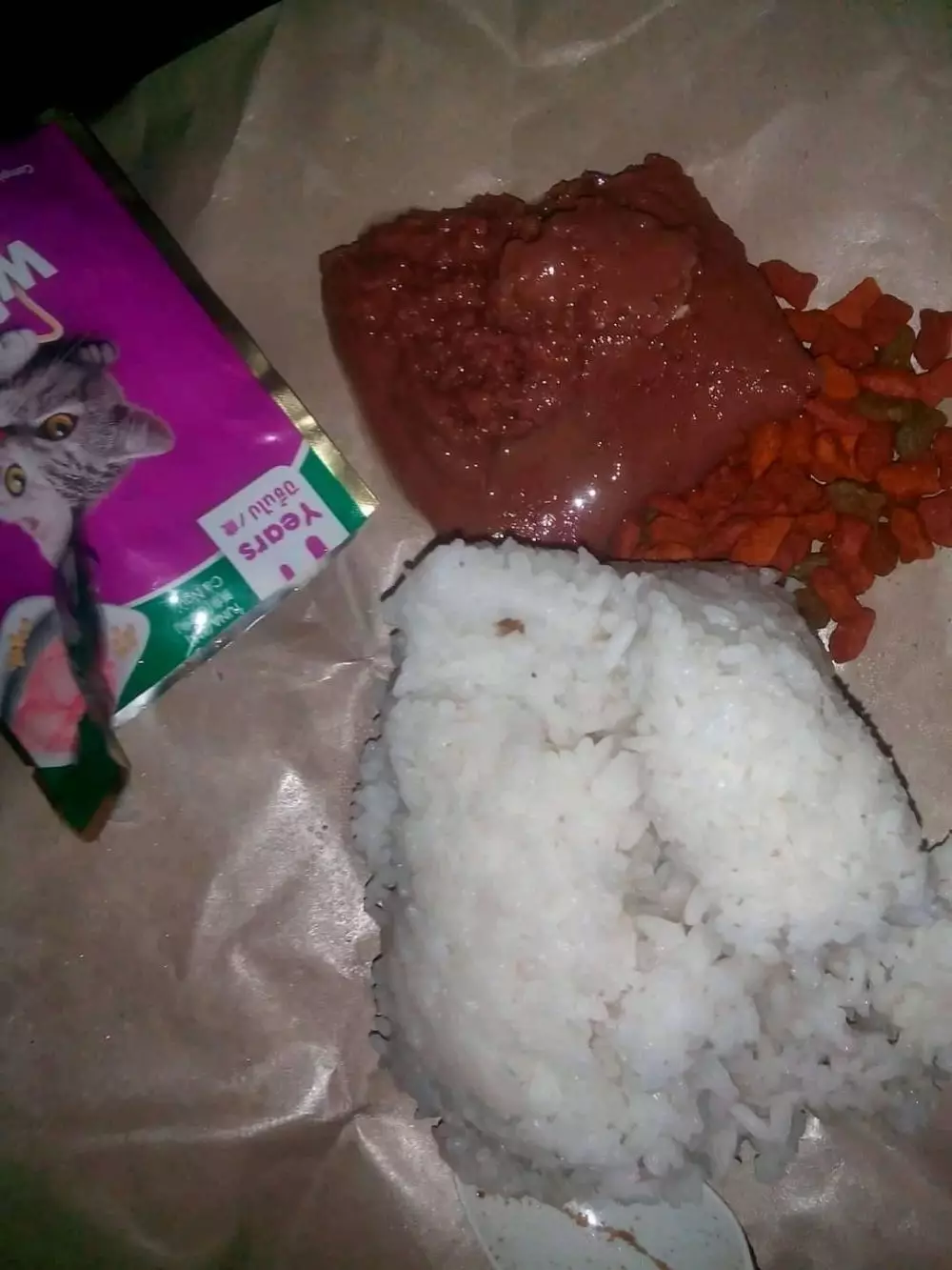  lauk nyeleneh pendamping nasi © 2021 berbagai sumber