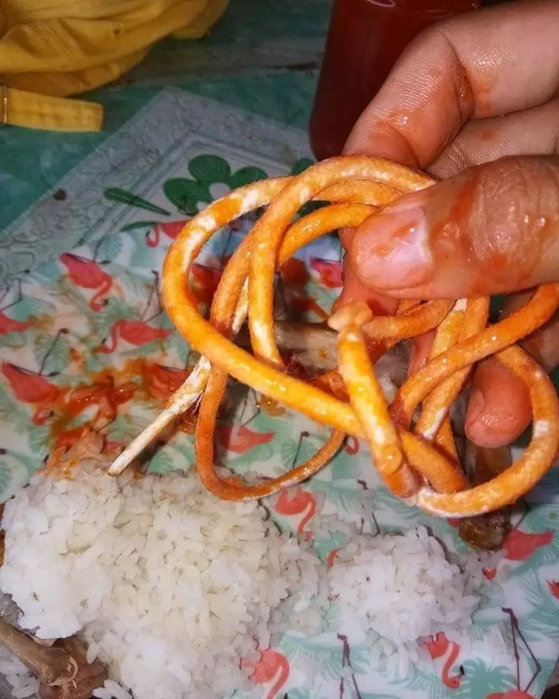  lauk nyeleneh pendamping nasi © 2021 berbagai sumber