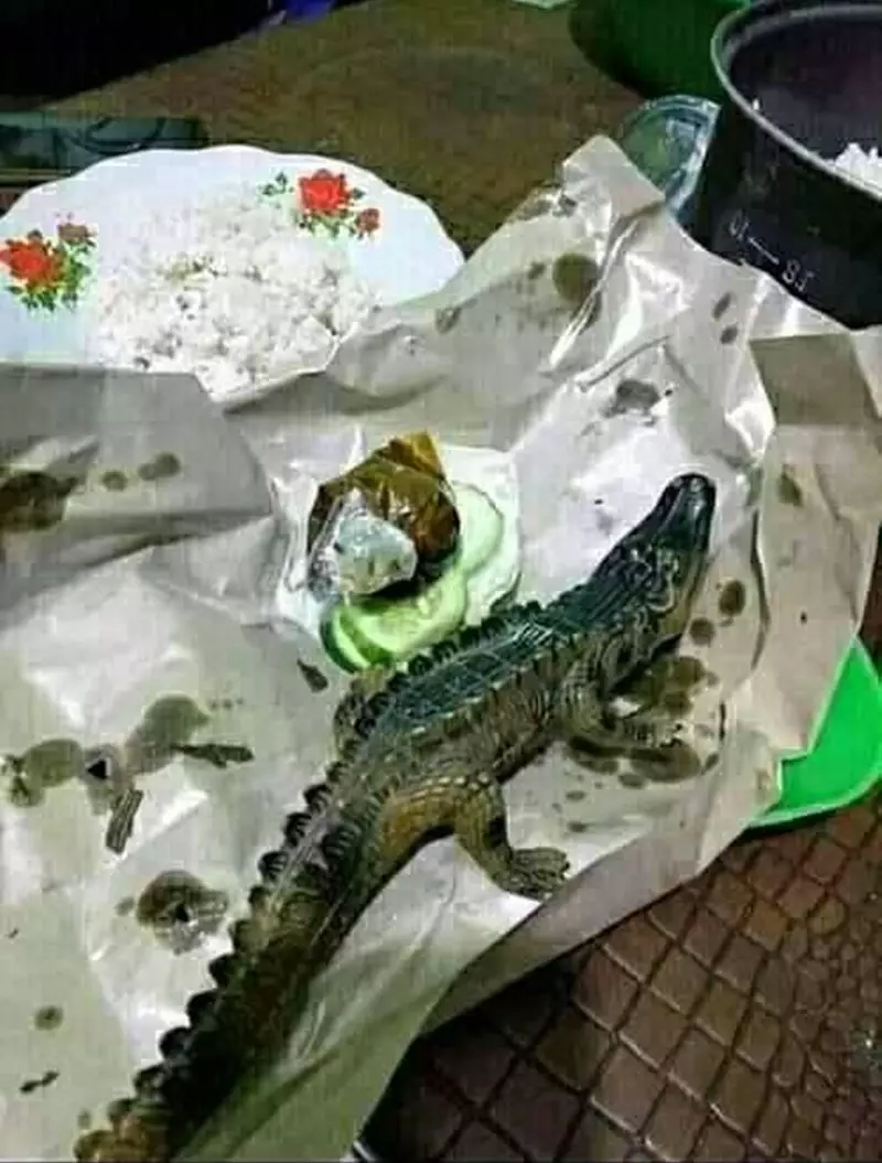  lauk nyeleneh pendamping nasi © 2021 berbagai sumber