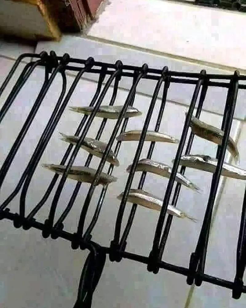 makan ngirit pakai ikan © 2021 berbagai sumber