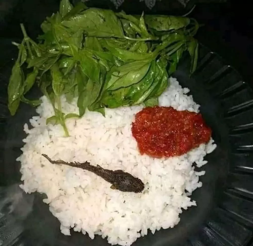 makan ngirit pakai ikan © 2021 berbagai sumber