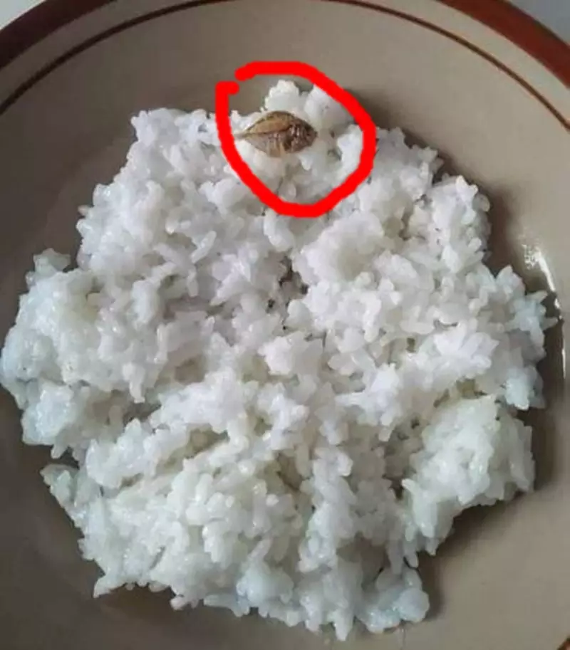 makan ngirit pakai ikan © 2021 berbagai sumber