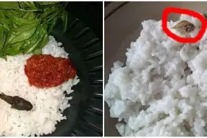 20 Potret lucu makan ngirit pakai lauk ikan, bikin miris