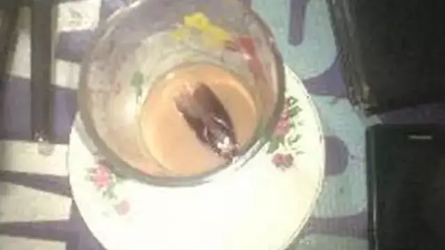 Momen apes minuman diganggu hewan © berbagai sumber Momen apes minuman diganggu hewan © berbagai sumber