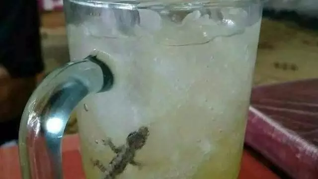 Momen apes minuman diganggu hewan © berbagai sumber Momen apes minuman diganggu hewan © berbagai sumber