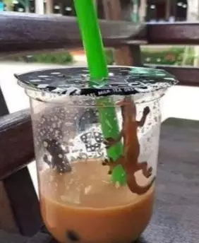 Momen apes minuman diganggu hewan © berbagai sumber Momen apes minuman diganggu hewan © berbagai sumber