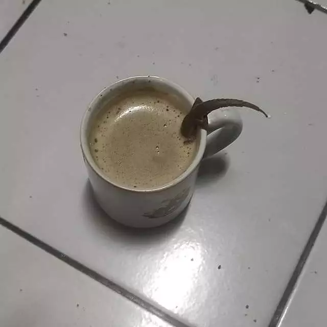 Momen apes minuman diganggu hewan © berbagai sumber Momen apes minuman diganggu hewan © berbagai sumber