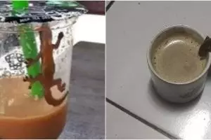 10 Momen apes 'gagal minum' karena diganggu hewan, bikin senyum kecut