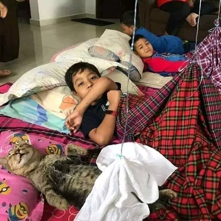 kucing cari perhatian © 2021 Instagram kucing cari perhatian © 2021 Instagram