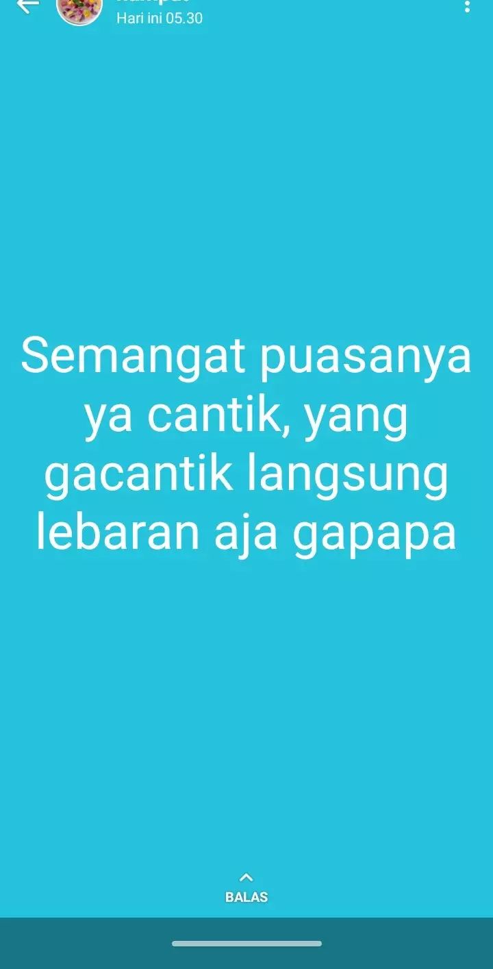 Status WA jelang Lebaran © Twitter