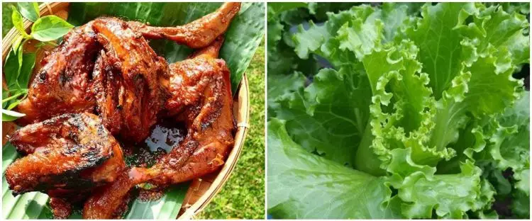 12 Sayuran ini cocok jadi lalapan pendamping ayam bakar