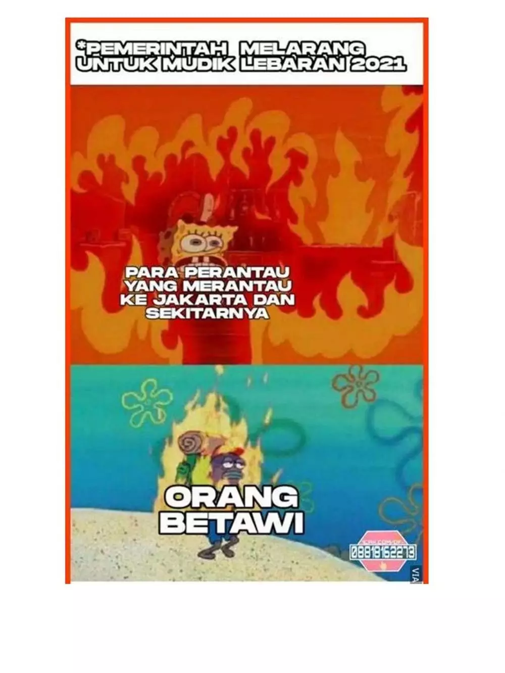 meme lucu larangan mudik Berbagai sumber