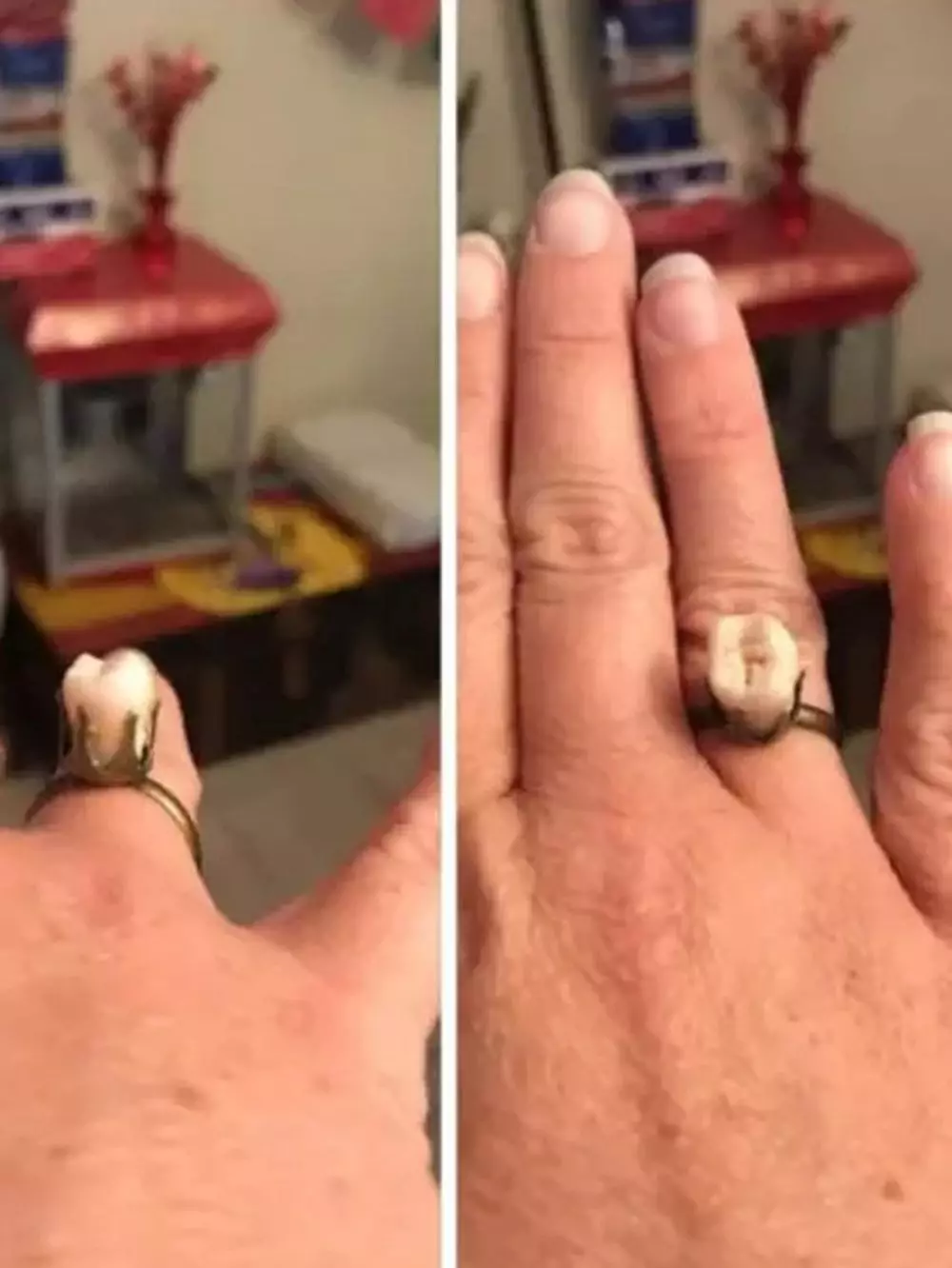 benda menyerupai perhiasan © 2021 berbagai sumber