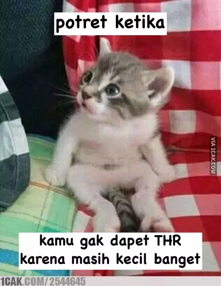 Meme lucu saat terima THR © 1cak.com