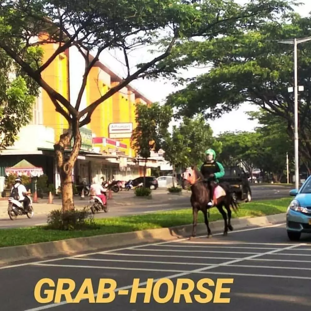 Kelakuan lucu driver ojekonline © berbagai sumber