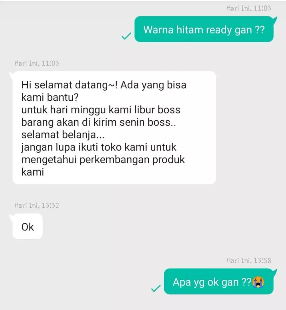 chat nggak nyambung dari seller © Twitter chat nggak nyambung dari seller © Twitter