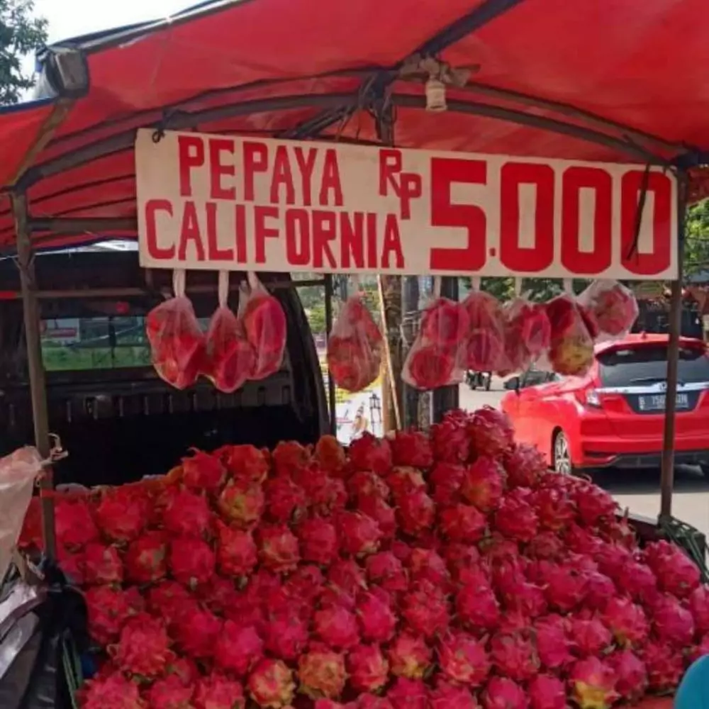 penjual buah promosikan dagangan © berbagai sumber penjual buah promosikan dagangan © berbagai sumber