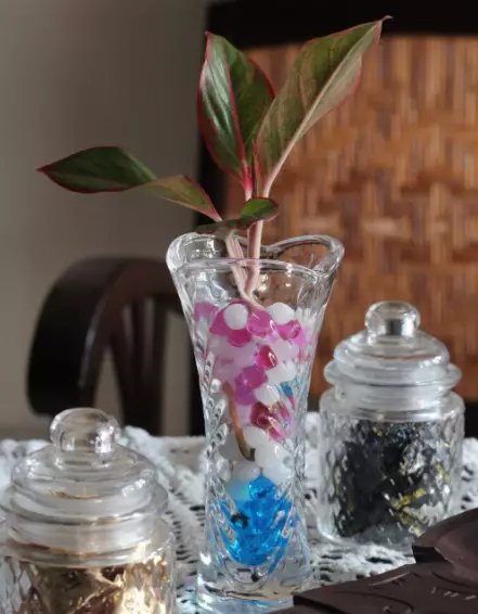 tanaman dengan hidrogel © 2021 brilio.net