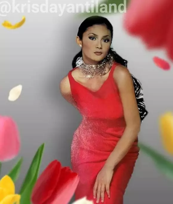 Potret lawas Krisdayanti dengan alis tipis Instagram/@krisdayantiland