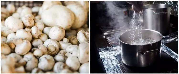 6 Cara menyimpan jamur kancing agar tidak mudah busuk
