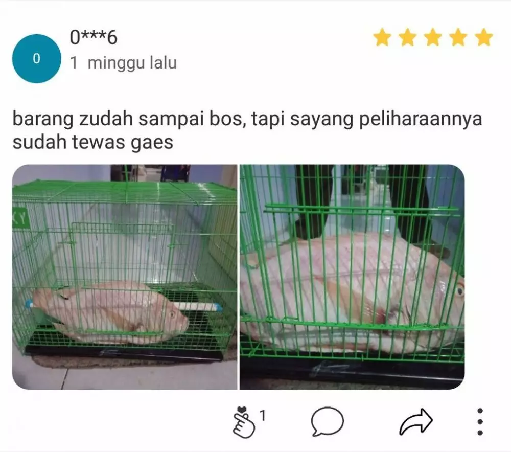 Testimoni bintang lima © Twitter