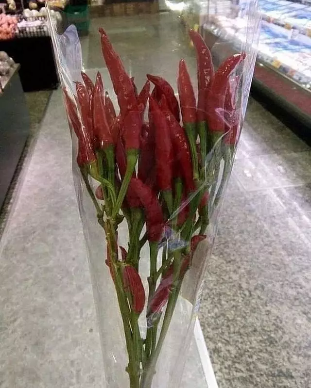 kreasi nyeleneh cabai © 2021 Instagram