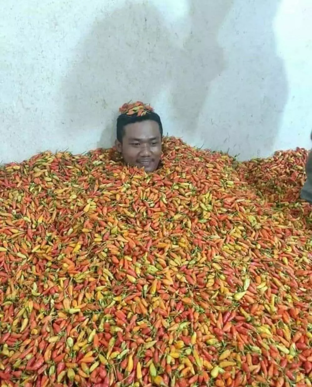 kreasi nyeleneh cabai © 2021 Instagram