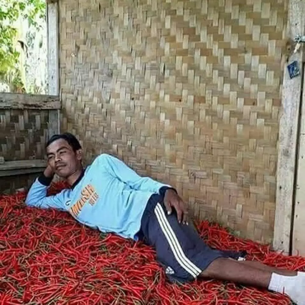 kreasi nyeleneh cabai © 2021 Instagram