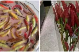 10 Kreasi nyeleneh dari cabai ini lucunya bikin ketawa pedas