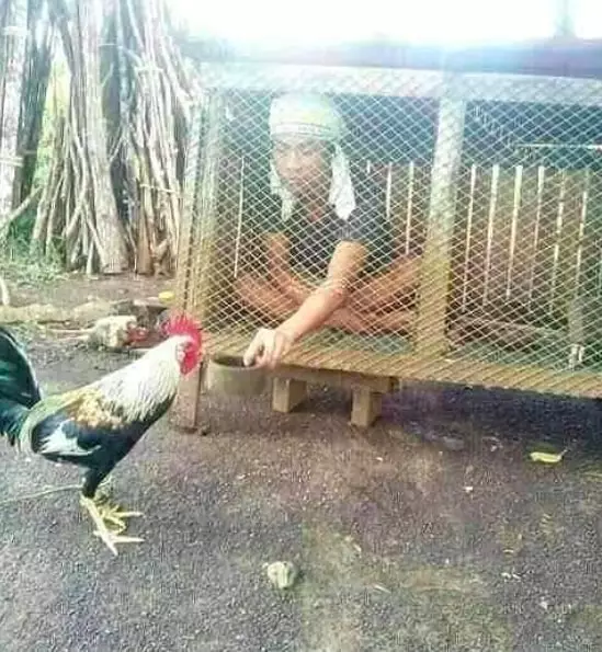 cowok kurang kerjaan di luar rumah © berbagai sumber