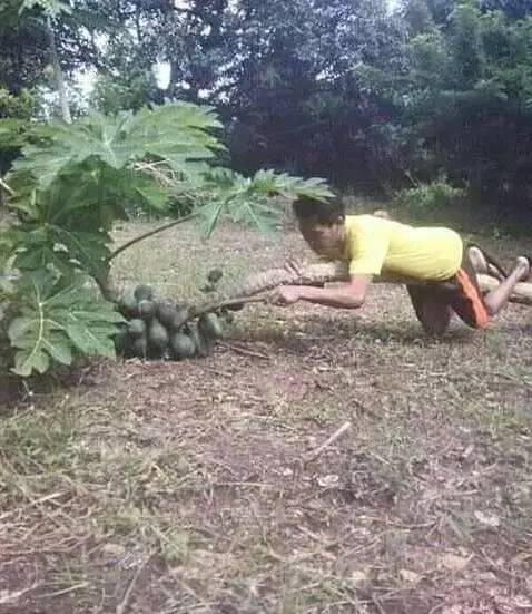 cowok kurang kerjaan di luar rumah © berbagai sumber