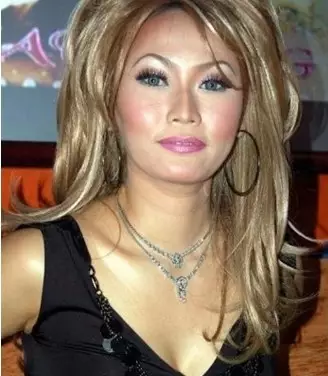 Potret lawas penyanyi dengan alis tipis dari berbagai sumber