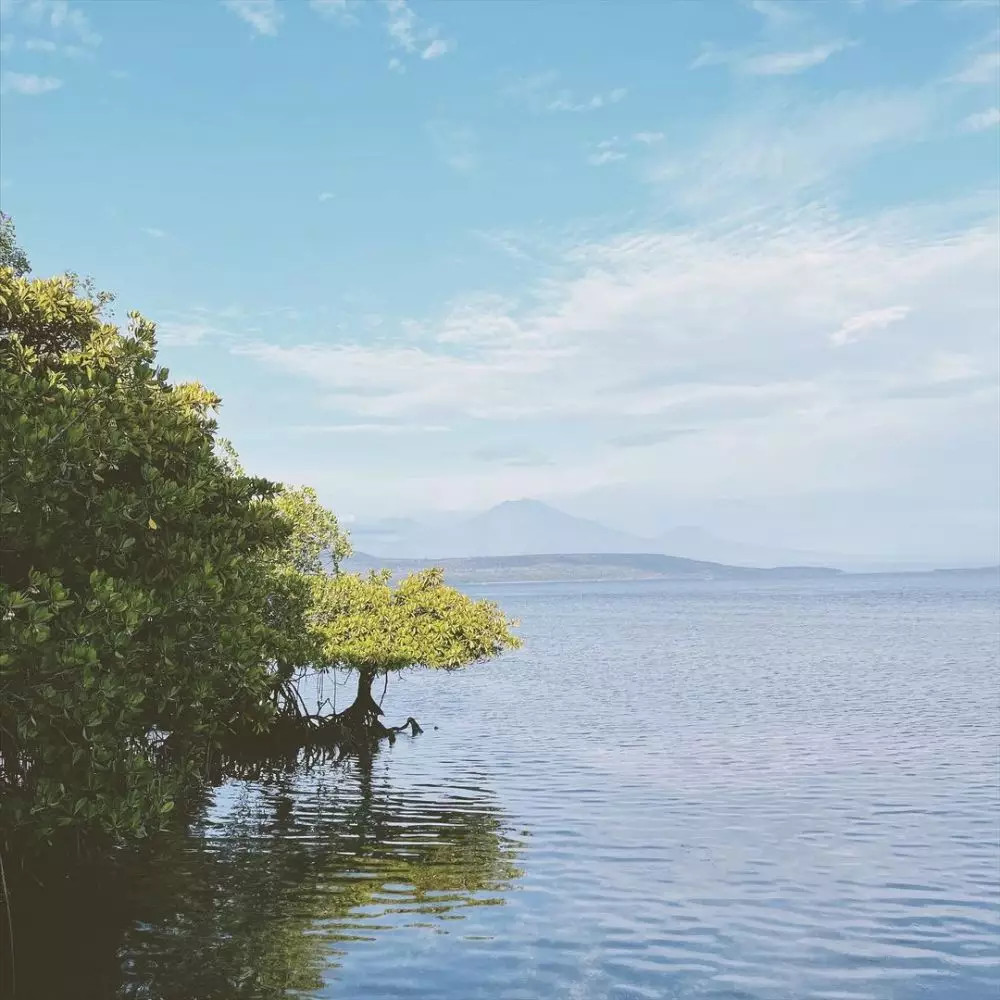 Seleb cantik ini ternyata jago fotografi © 2021 brilio.net Seleb cantik ini ternyata jago fotografi © 2021 brilio.net