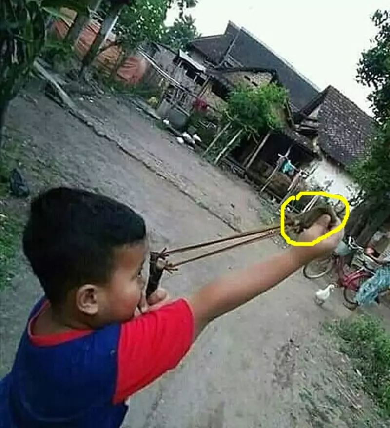 aksi nggak tahu cara pakai © 2021 berbagai sumber aksi nggak tahu cara pakai © 2021 berbagai sumber