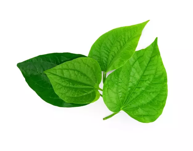 Bahan alami untuk menurunkan kolesterol © 2021 brilio.net