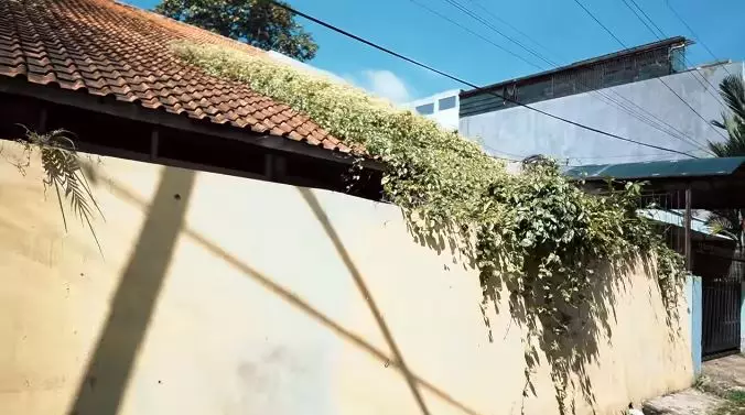 Potret rumah lama Fiersa Besari © 2021 brilio.net