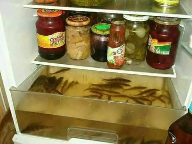 potret lucu isi kulkas © 2021 berbagai sumber