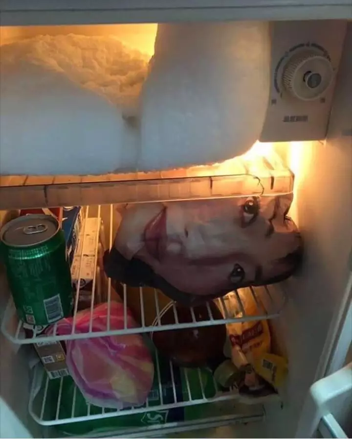 potret lucu isi kulkas © 2021 berbagai sumber