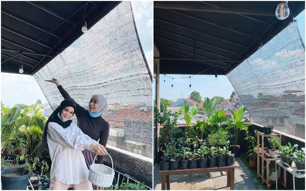kebun sayur di rumah seleb © 2021 brilio.net