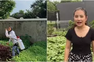 Penampakan kebun sayur di rumah 8 seleb, milik Prilly curi perhatian