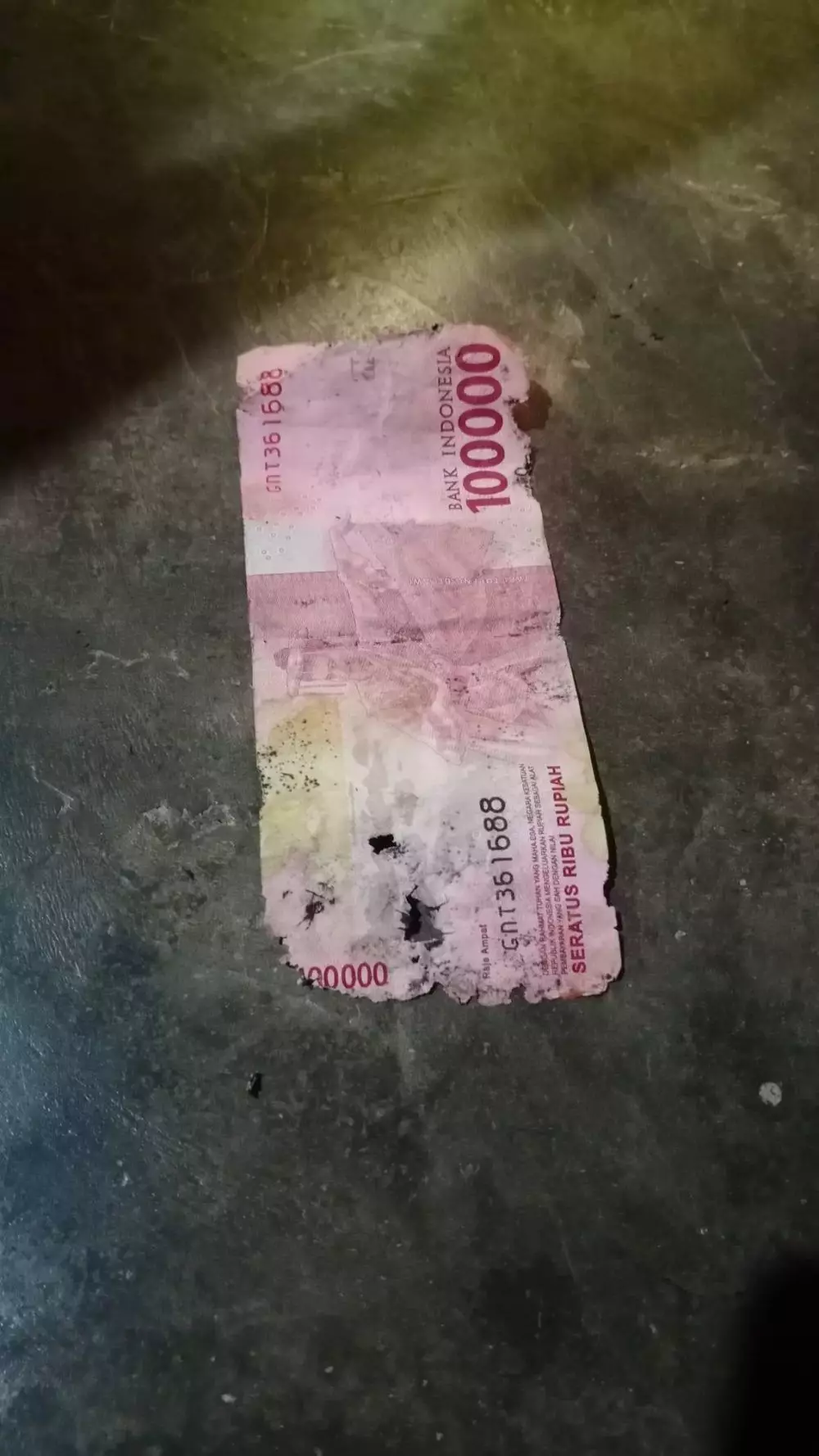 buka amplop apes © 2021 berbagai sumber