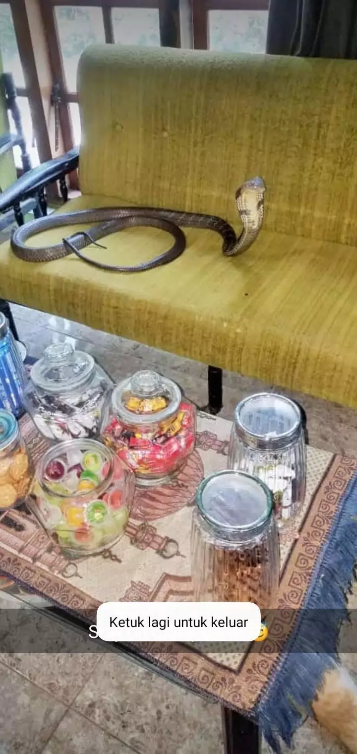 serba-serbi lebaran © 2021 berbagai sumber serba-serbi lebaran © 2021 berbagai sumber