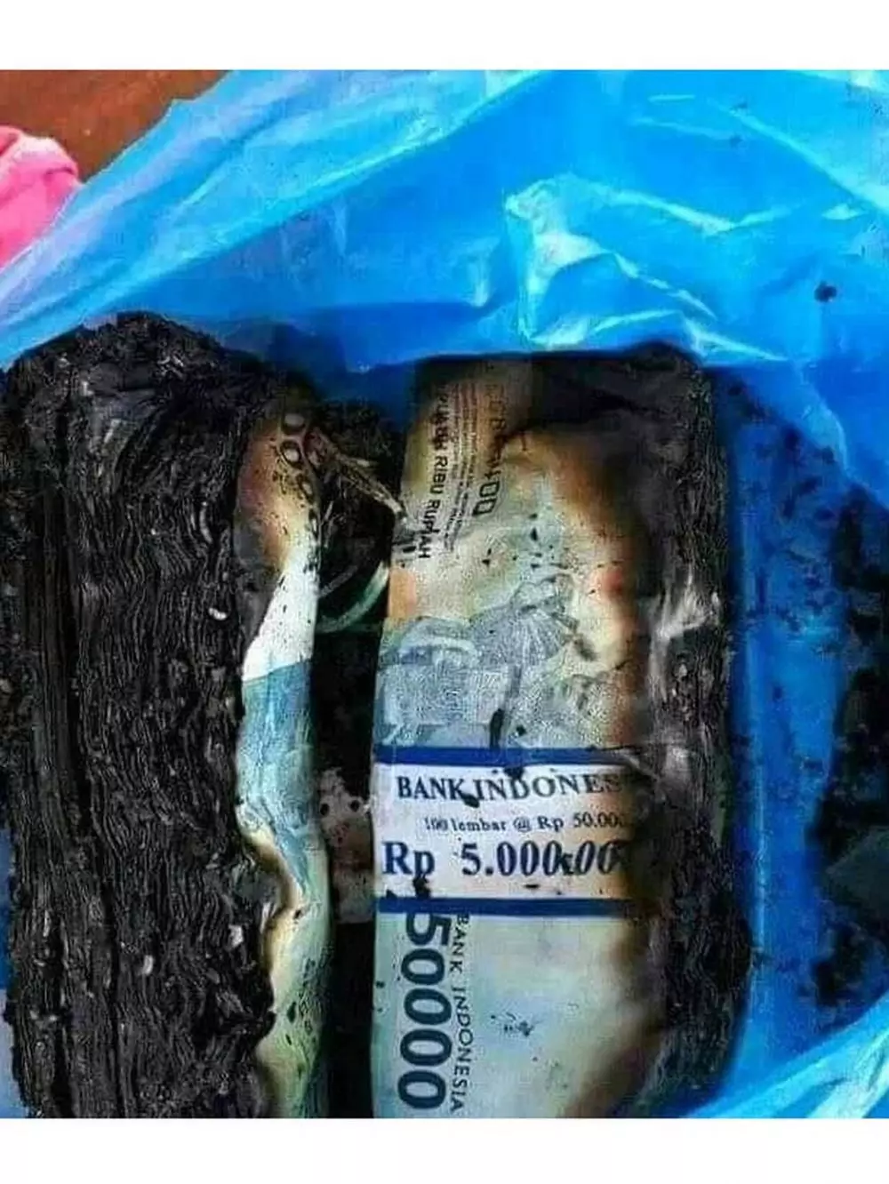 momen apes orang karena kurang hati hati Berbagai sumber momen apes orang karena kurang hati hati Berbagai sumber