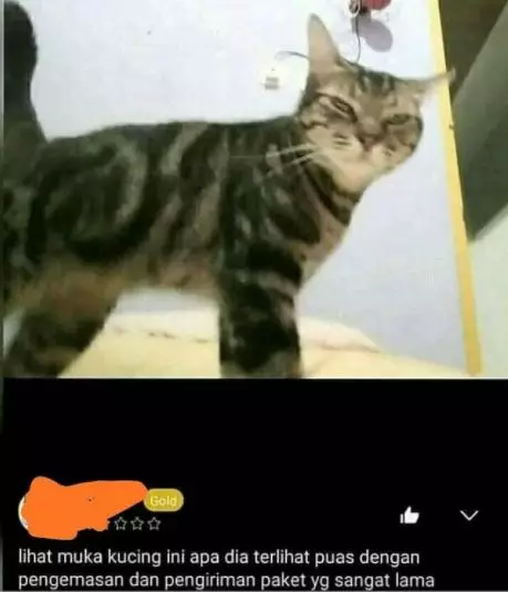 testimoni kecewa dari pelanggan olshop. Berbagai sumber testimoni kecewa dari pelanggan olshop. Berbagai sumber