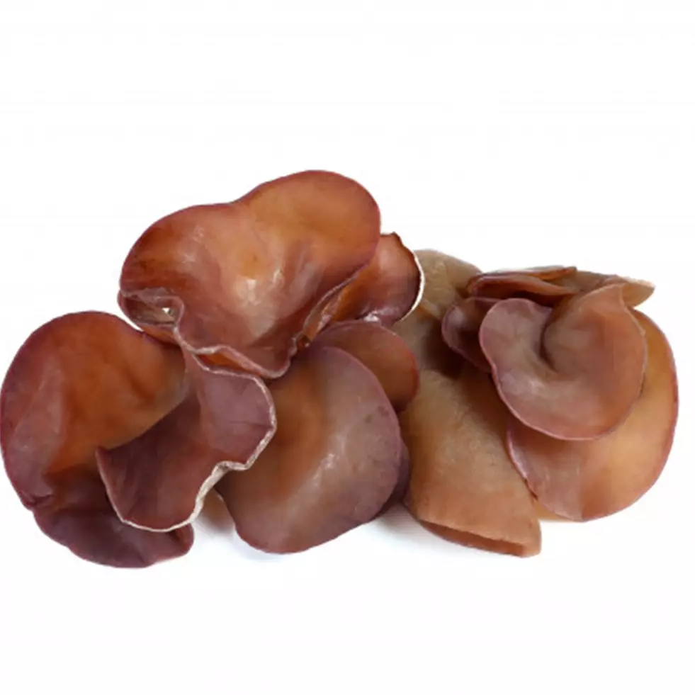 8 Manfaat jamur kuping hitam bagi kesehatan, baik untuk usus