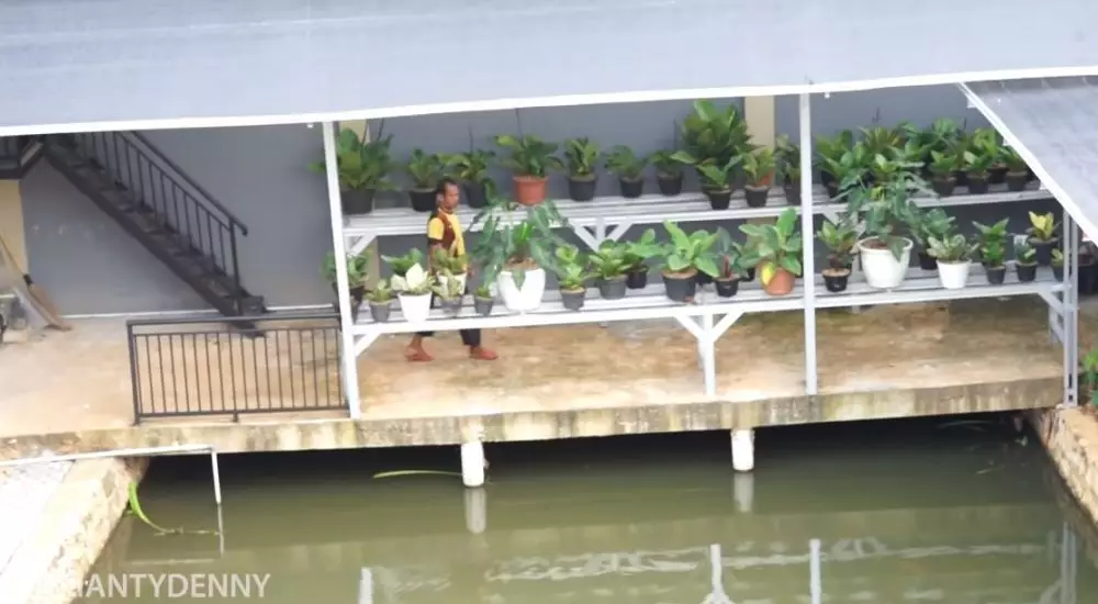 rumah adik Shanty Denny © YouTube rumah adik Shanty Denny © YouTube