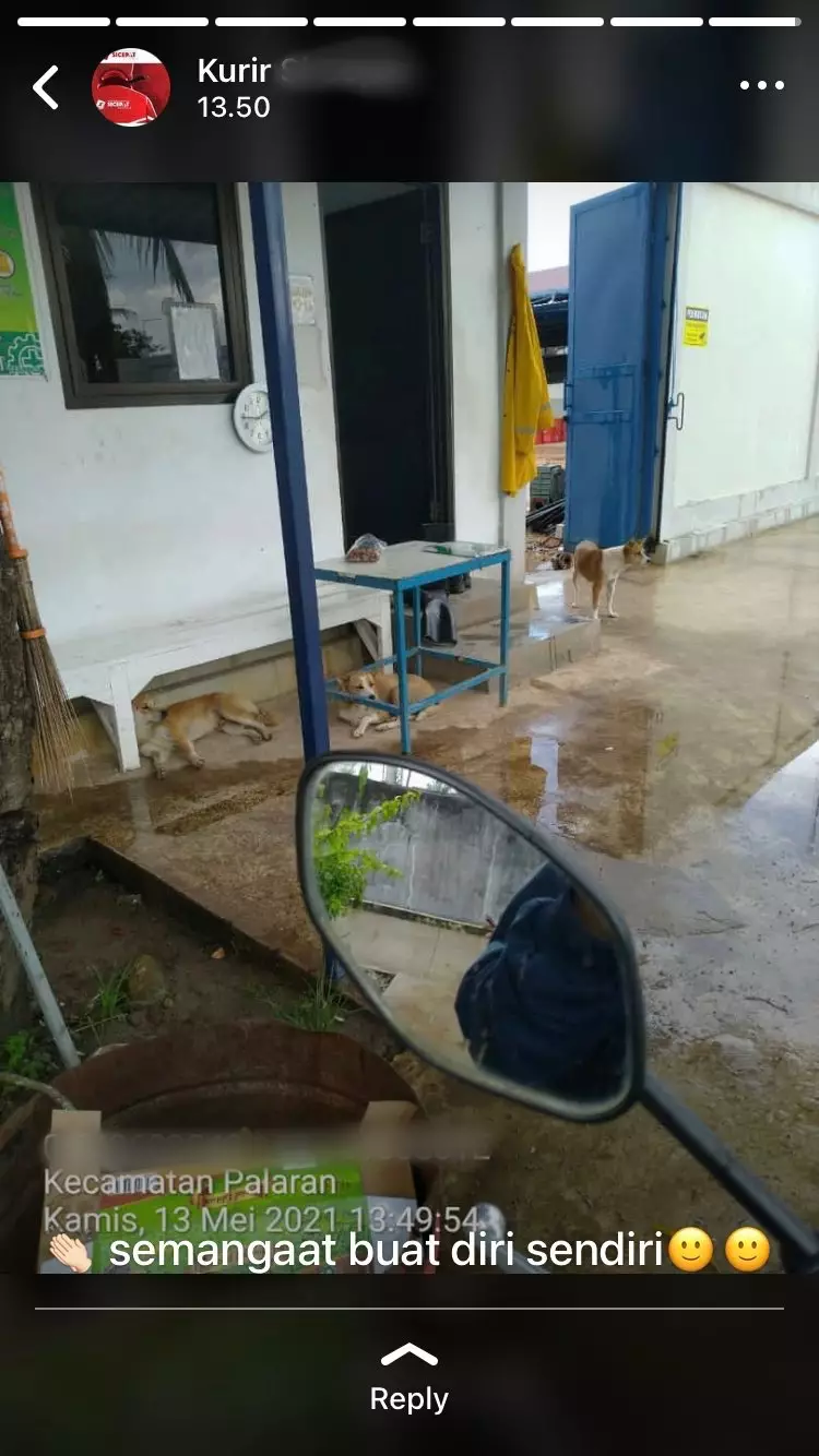 Status WA kurir pas bekerja © berbagai sumber