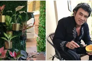 10 Penampakan rumah Rhoma Irama, asri banyak koleksi tanaman